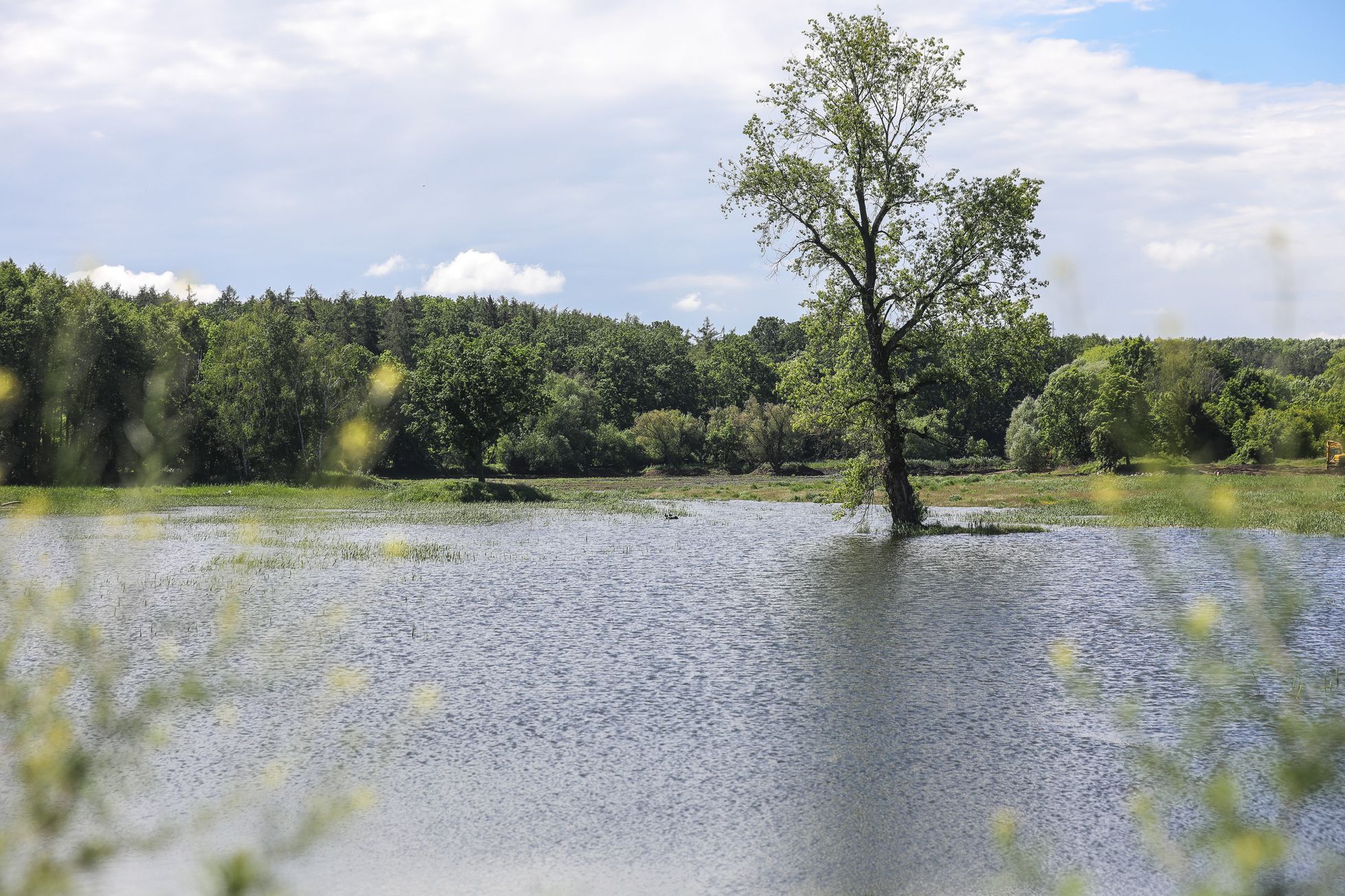 Zadržování vody v krajině - Lítožnický rybník a Říčanský potok, Dubeč, Běchovice, Praha