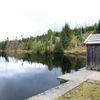 Národní park Šumava 24.9. 2015 - Tk o kůrovci