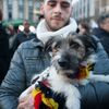Pieta v Bruselu - středa