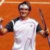 David Ferrer ve 3. kole French Open 2012