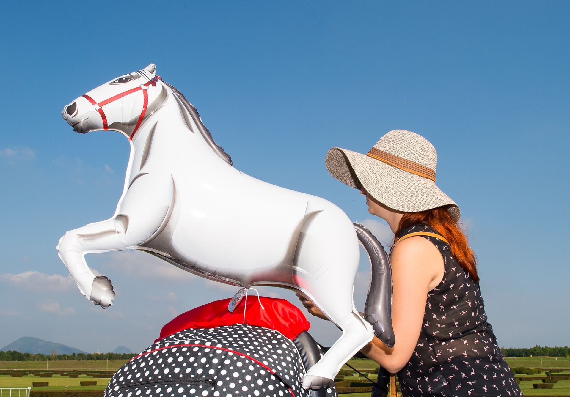 Czech Press Photo 2017: Sport (série)