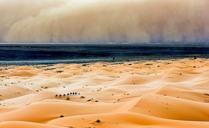 Desert Sandstorm - (PICTURED Asand storm over the Sahara) - Peter Vruggink captures an incredible sandstorm over the Sahara desert while camel trekkers walk in the distance.