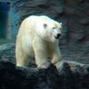 ZOO 3D