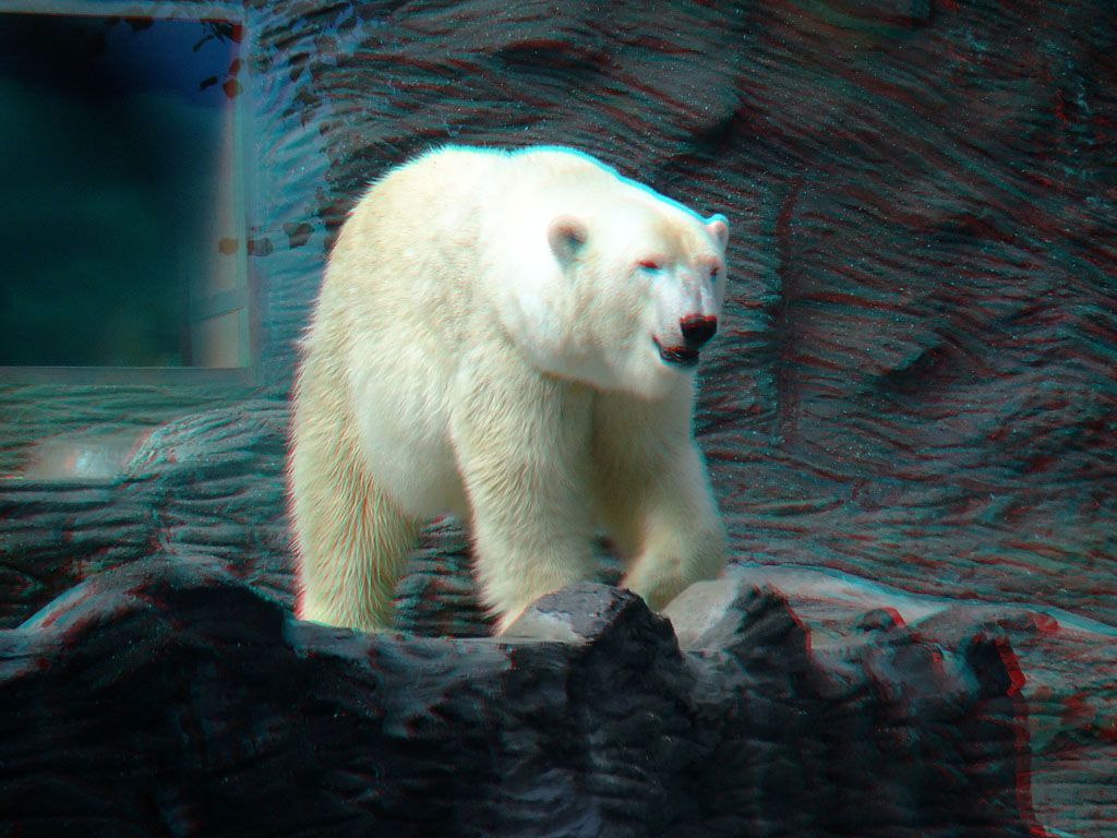ZOO 3D