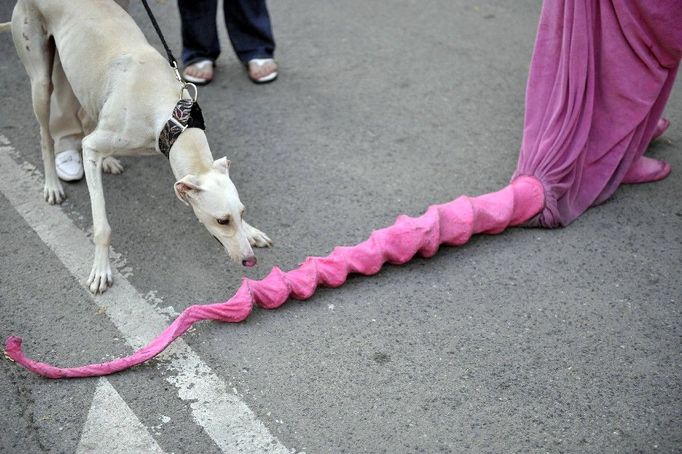 Růžový ocas je třeba pořádně očuchat. Kus kostýmu patří dámě, která předváděla v představení nazvaném ,,Růžový virus" na mezinárodním festivalu ve slovinském Mariboru.