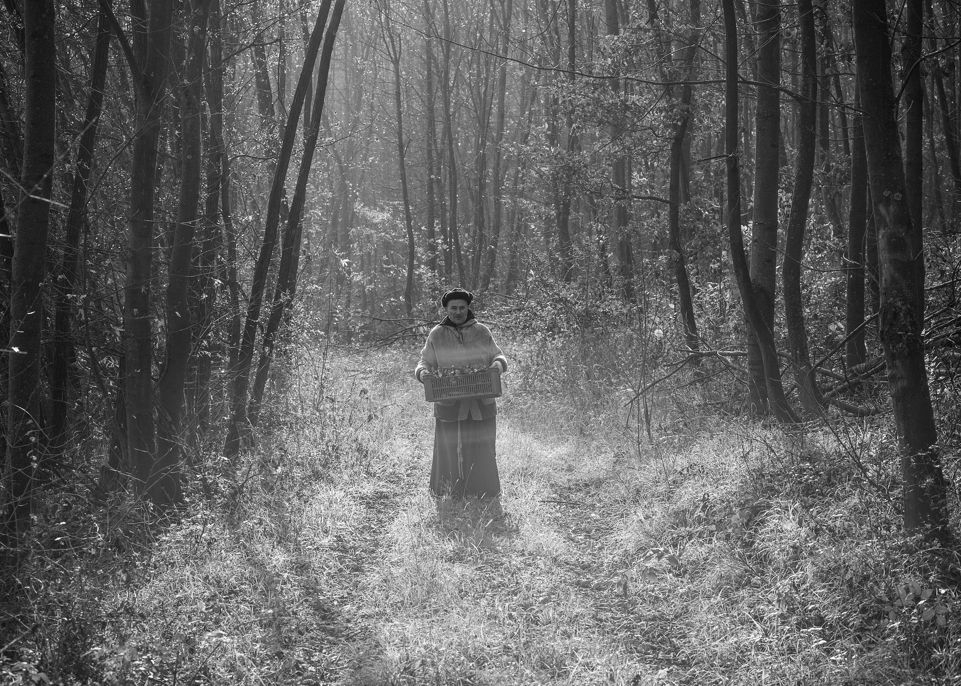 Aleš Palán, Samotáři 2