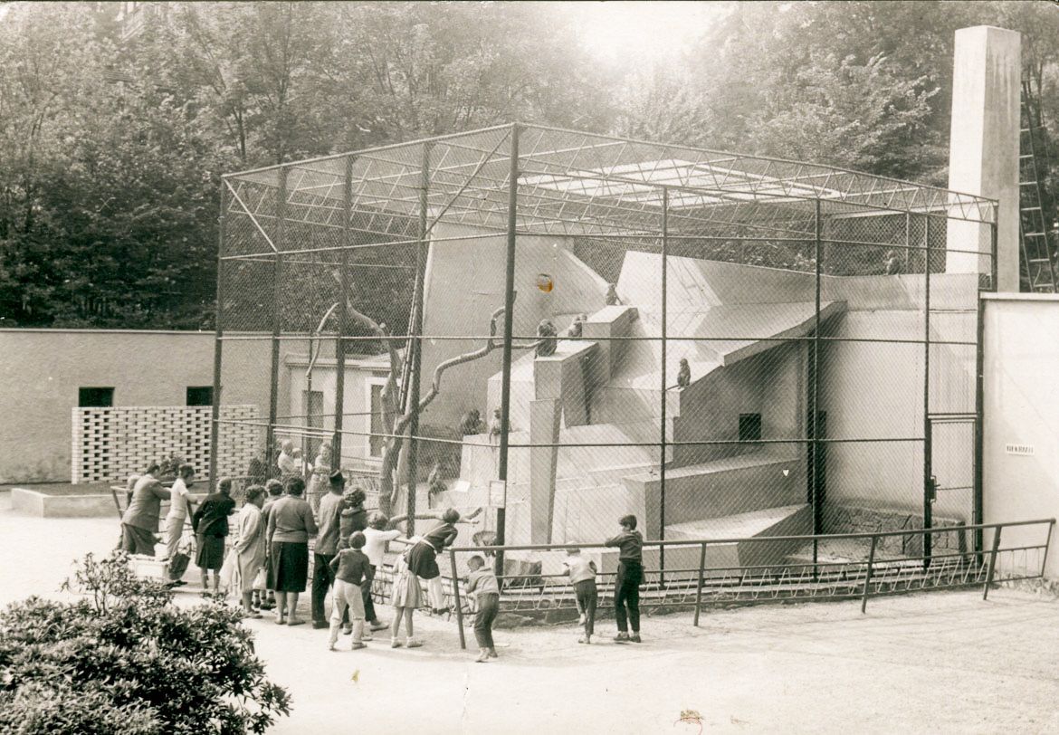 ZOO Liberec, zoo, zoologická zahrada, Liberec, historie, výročí, Domácí