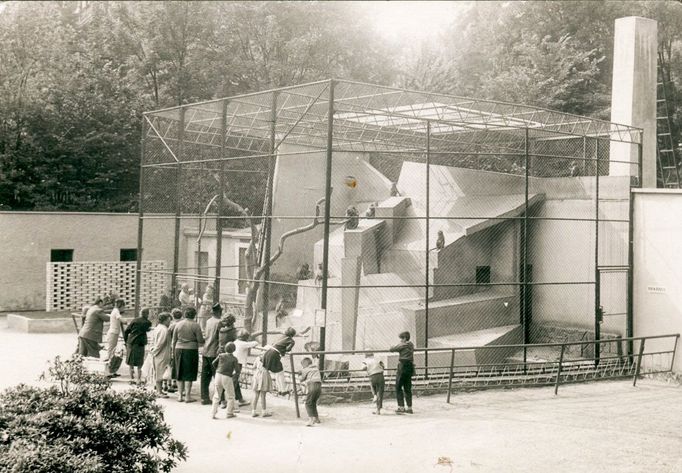 ZOO Liberec slaví 120 let od svého vzniku. Podívejte se na historické momenty a vývoj nejstarší zoologické zahrady v českých zemích od jejího založení v roce 1904.