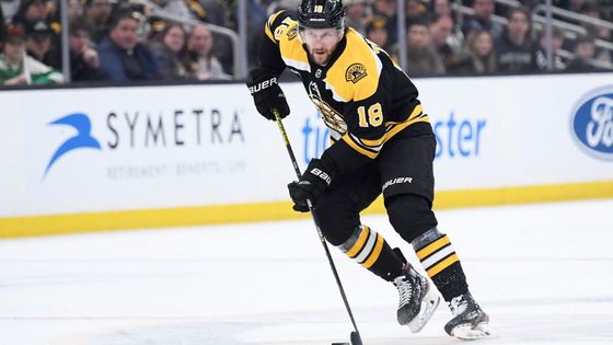 Boston Bruins NHL Pavel Zacha