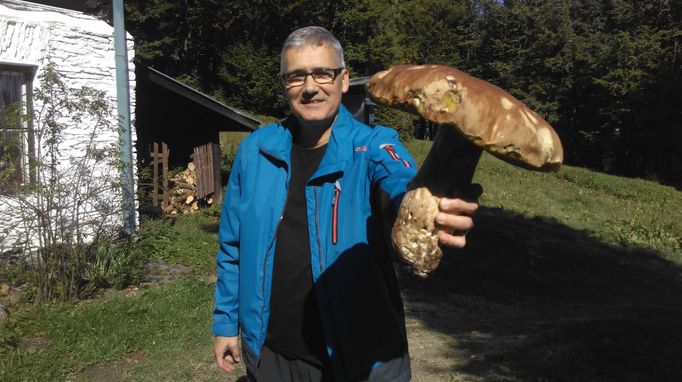 Fotosoutěž houby 2017