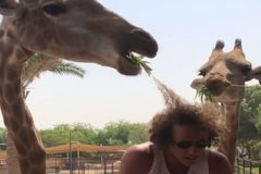 Video: Pozor na to háro. Žirafa málem upravila legendární účes brazilského obránce Davida Luize