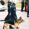 Jednorázové / Fotogalerie / Historie policejních sil v českých zemích