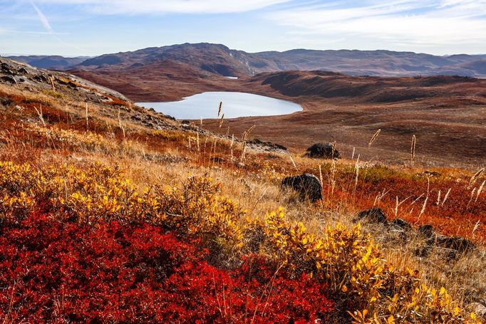 Arktida - tundra, ilustrační foto