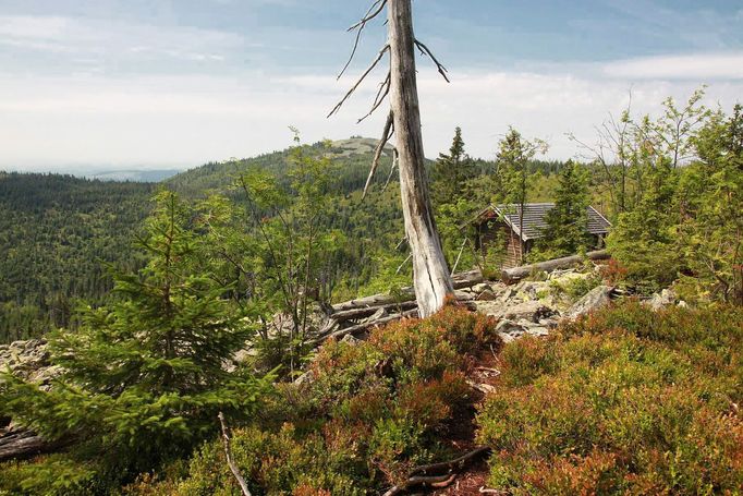 Šumava