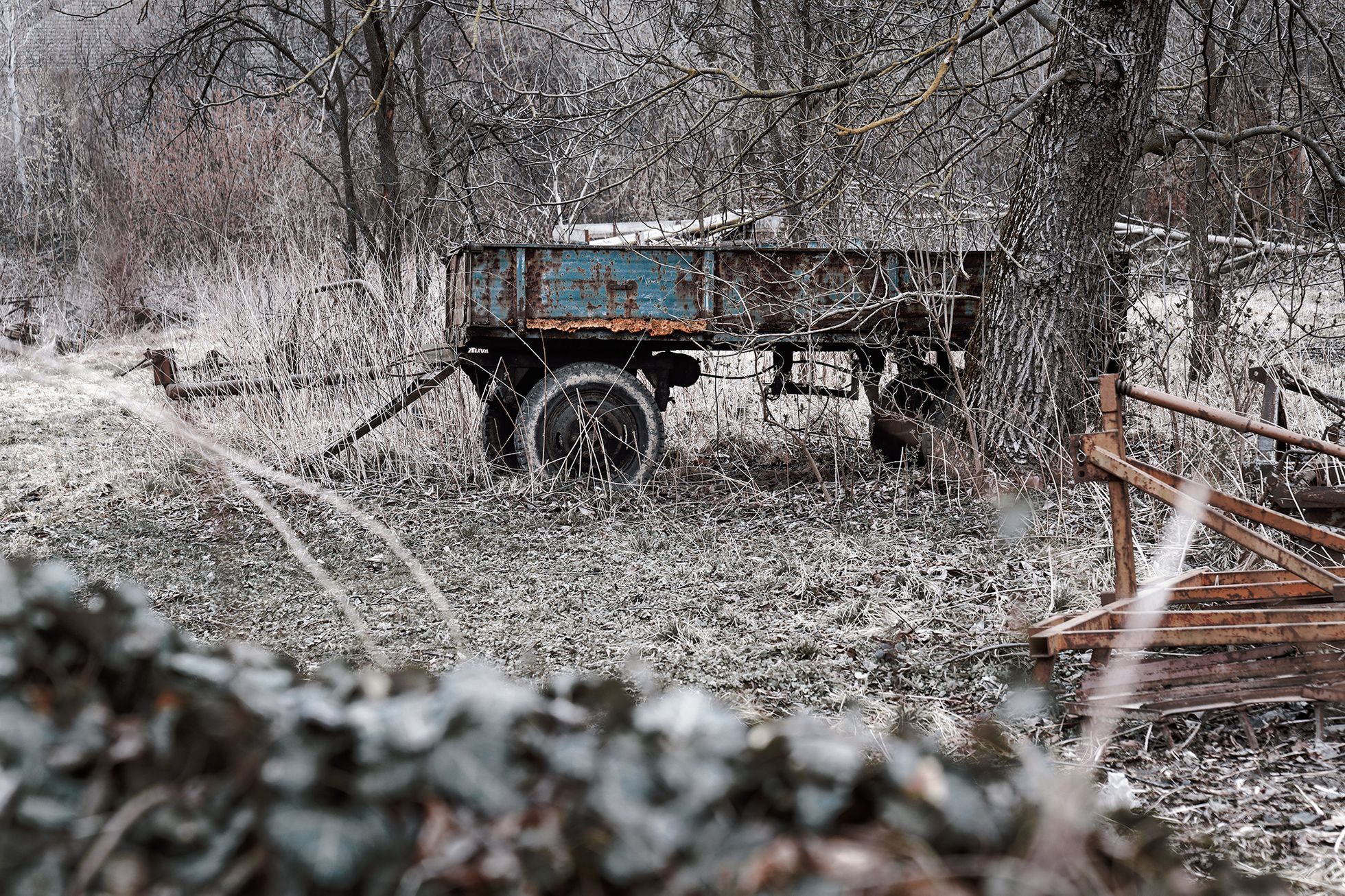 Zaniklá vesnice Pelhřimovy na česko-polské hranici poblíž Města Albrechtice