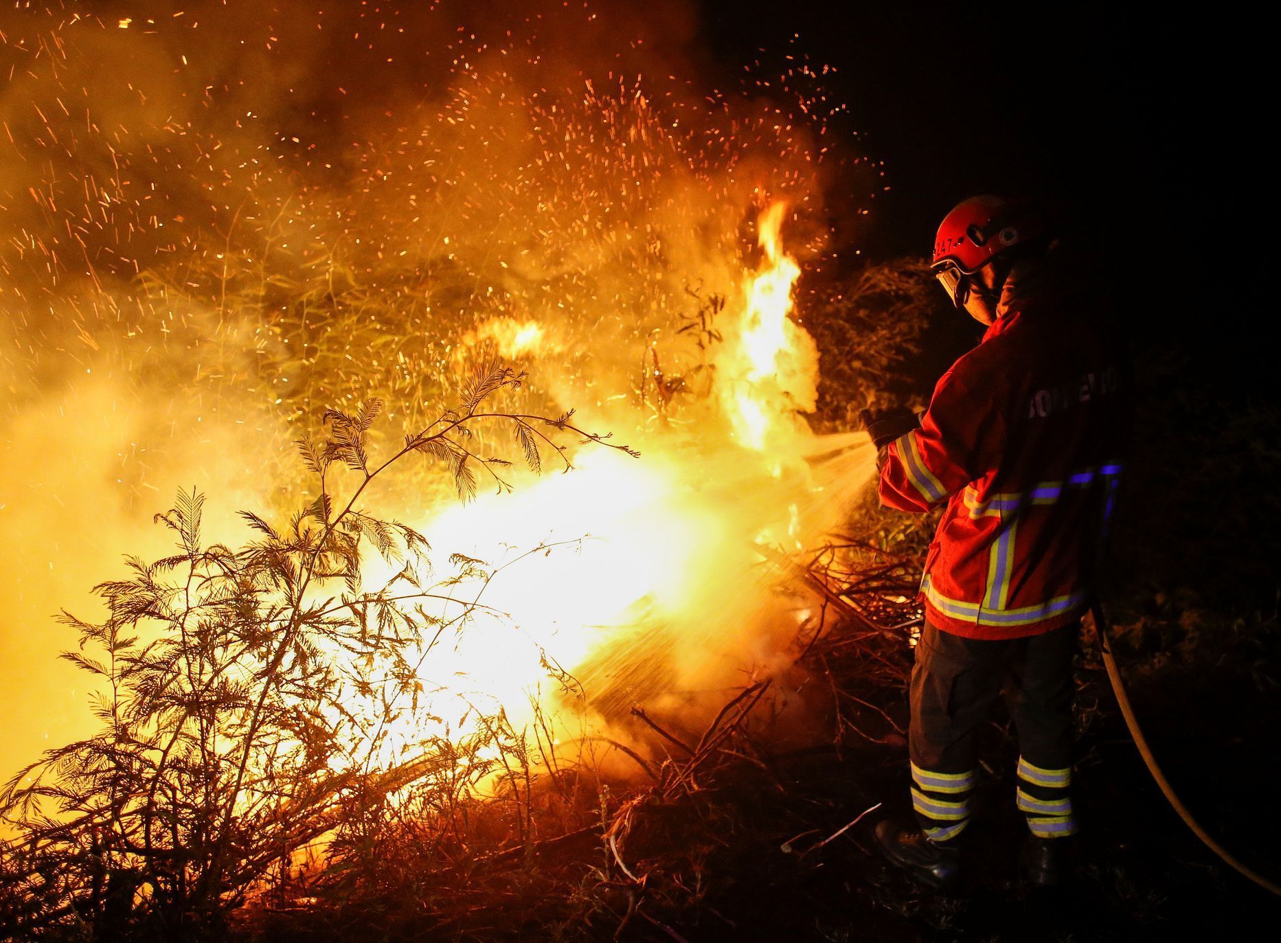 Lesní požáry v Portugalsku