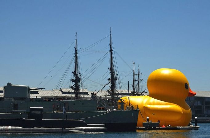 Arts festival greeted with giant rubber duck in Sydney Sydney, Australia. 5th January 2013 -- A gigantic, bright yellow rubber duck floated into Sydney's Darling Harbour as part of the Australian city's annual arts festival, a celebration where high-art meets popular entertainment. -- A gigantic, bright yellow rubber duck floated into Sydneys Darling Harbour as part of the Australian citys annual arts festival. The entry of artist Florentijn Hofmans inflatable duck kicked off the 2013 edition.