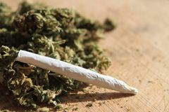 Chorvati zabavili pašerákům přes 800 kilogramů mariahuany