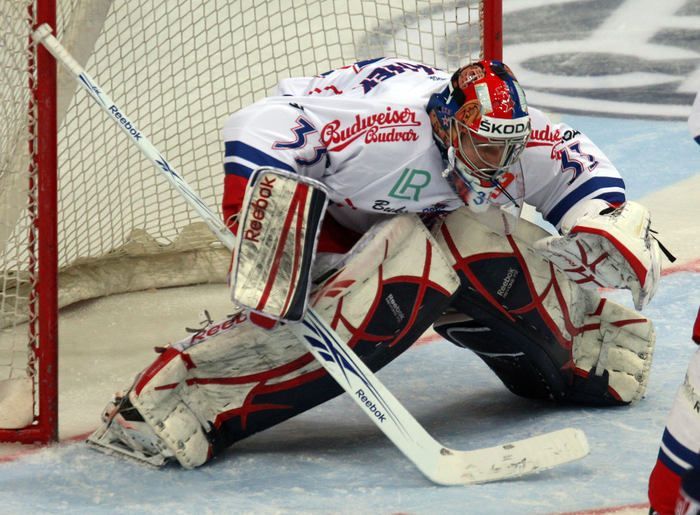 Jakub Štěpánek, brankář českého hokejového týmu pro MS 2012