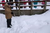 ... s biologem Markem Rossem se vydali hledat stopy zvířat ve sněhu.