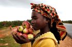 Dívka prodává jablka na kraji cesty na předměstí angolského Lubanga. Afrika, coby stát závislý na mezinárodní pomoci, zmítaná korupcí a vrtošivostí vlád, nezmizela. Nicméně po všech těch falešných záblescích naděje tu je skutečně vzrůstající potenciál víry, že se tento kontinent - domov 53 zemí s neustále rostoucí populací a zároveň třetí nejbohatší místo na přírodní zdroje, mění. (vydražte tento snímek, pomozte dětem - online na www.sanceprodeti.cz )