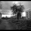 Borne - Klomino, město duchů