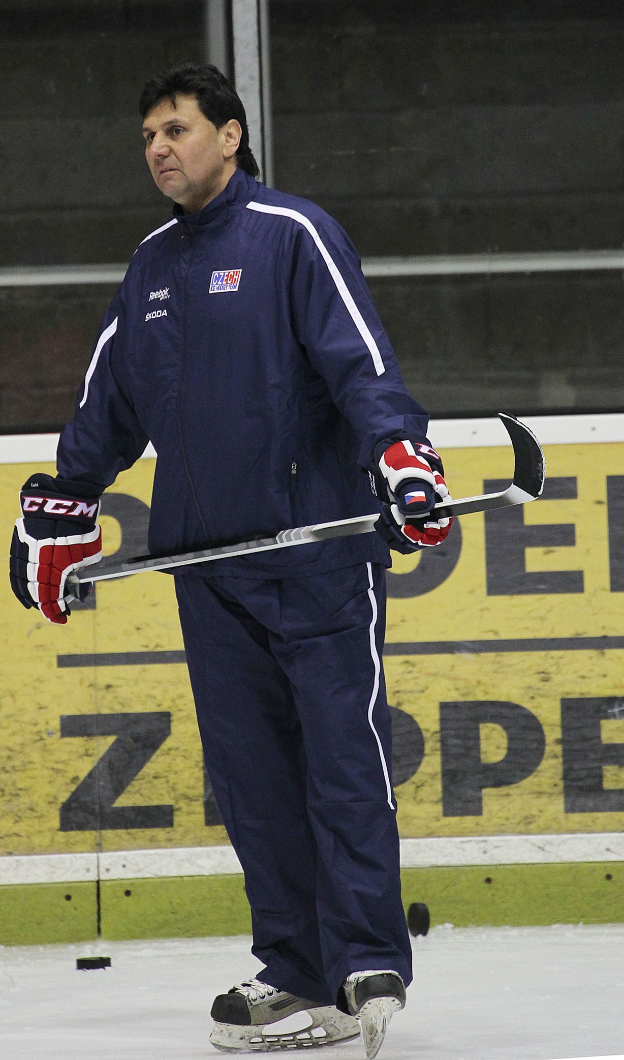 Sraz hokejové reprezentace před MS 2014 (Vladimír Růžička)