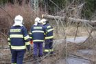 Vichřice v Česku lámala stromy, silnice v horách pokryl sníh