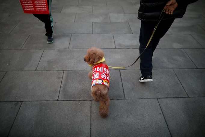 Lidé před soudní budovou reagují na odvolání jihokorejské prezidentky Pak Kun-hje z funkce.