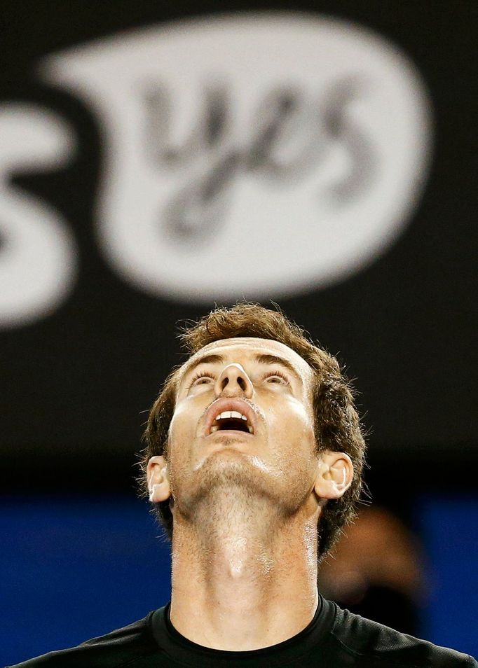 Andy Murray na Australian Open 2015