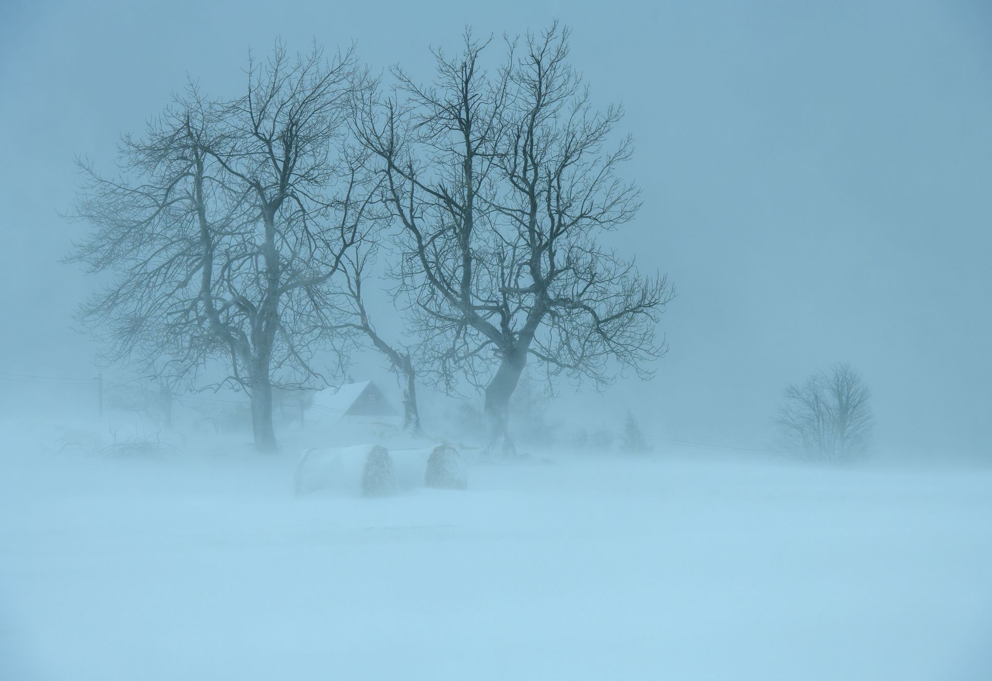 TOP FOTO 2021 - Richard Horák. Výroční fotogalerie nejlepších snímků roku