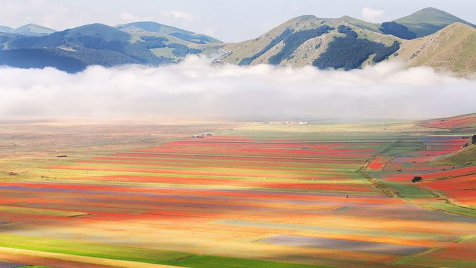 Málo známý italský div. Kvetoucí pole připomínají malby impresionistů