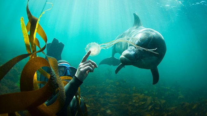 Český fotograf okouzlil svět, vypráví fascinující příběhy divokého oceánu