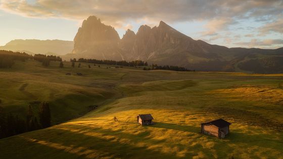 Třicet fotek pro hezčí den. Špičkoví světoví fotografové bojují o své Oscary