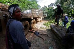 Kácení v Amazonii narostlo během pouhého roku o 450 procent