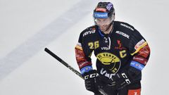 Litvínovský hokejový útočník Viktor Hübl