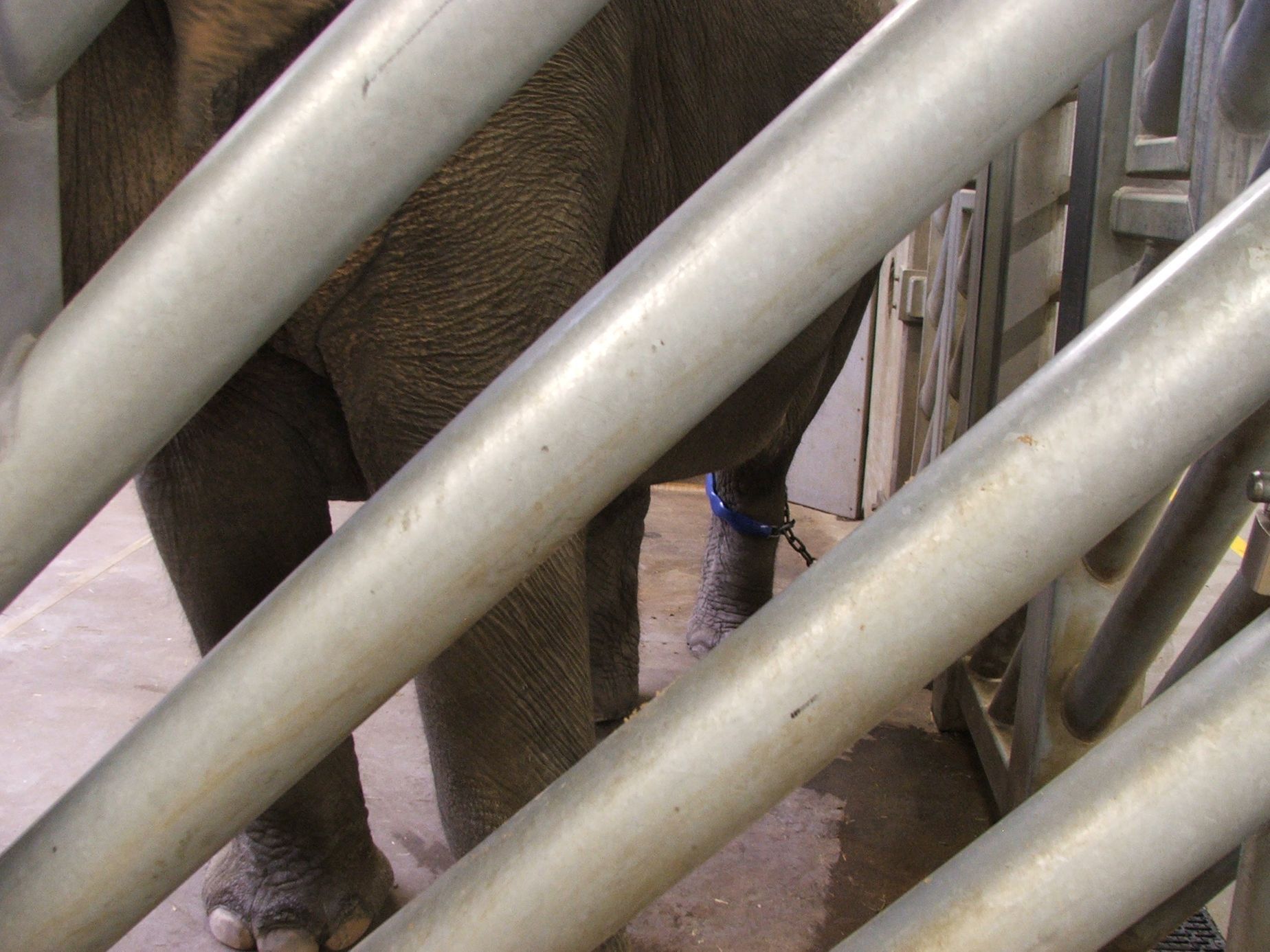 Údolí slonů - ZOO Praha