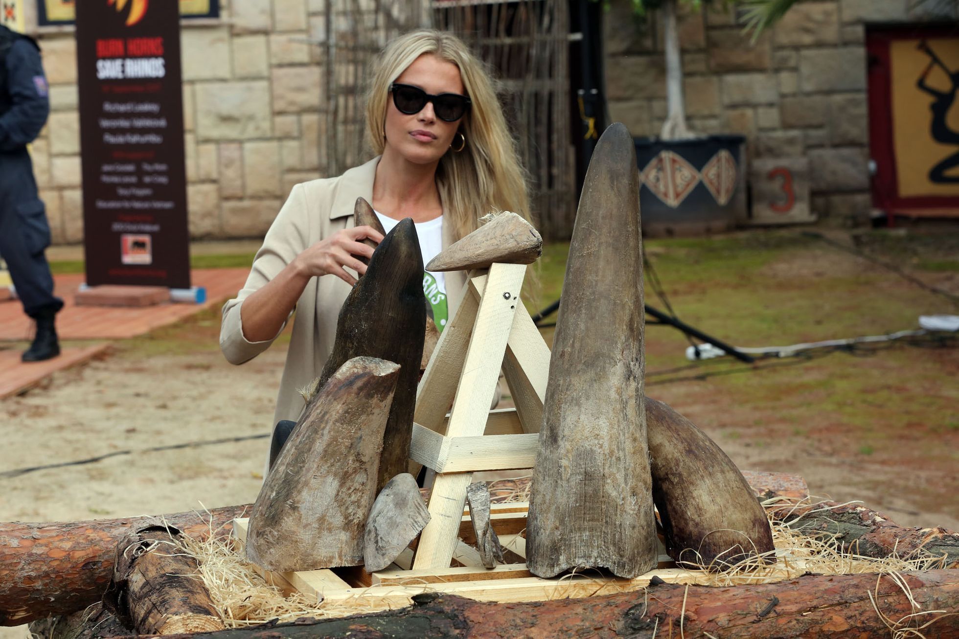 Pálení rohů nosorožců v ZOO Dvůr Králové