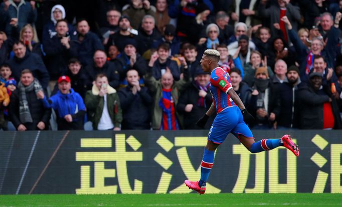 Už tak hluční fanoušci Crystal Palace jsou v extázi, Patrick van Aanholt právě vstřelil gól Newcastlu