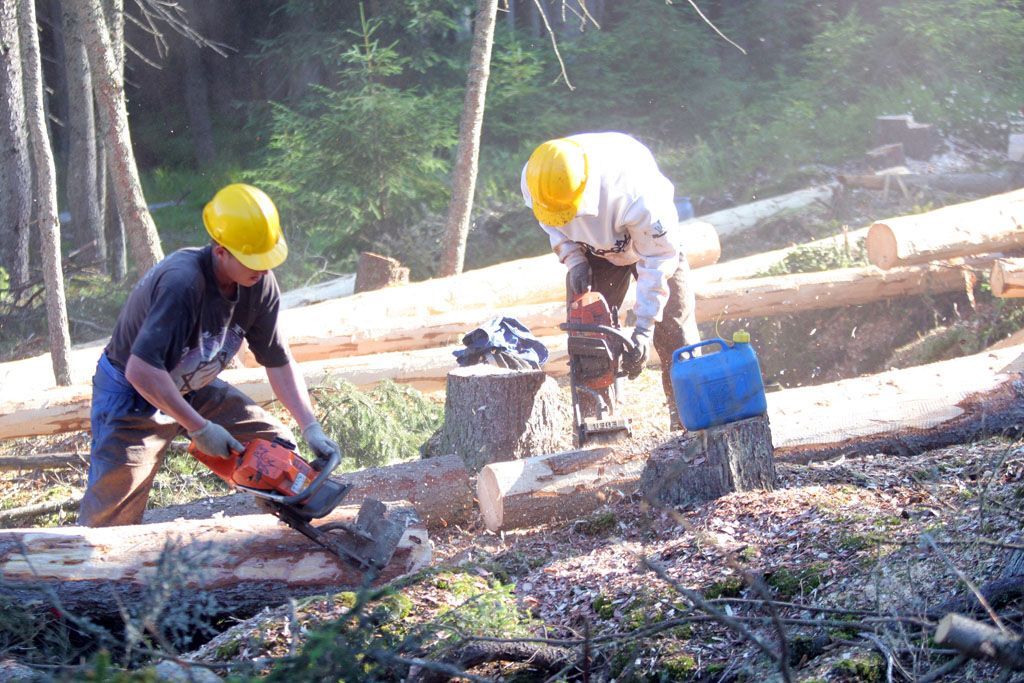 Blokáda dřevorubců na Šumavě