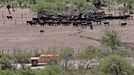 Rallye Dakar 2013, 10. etapa: Robby Gordon, Hummer