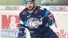 Michal Birner. HC Vítkovice Ridera - HC Bílí Tygři Liberec, 38. kolo extraligy