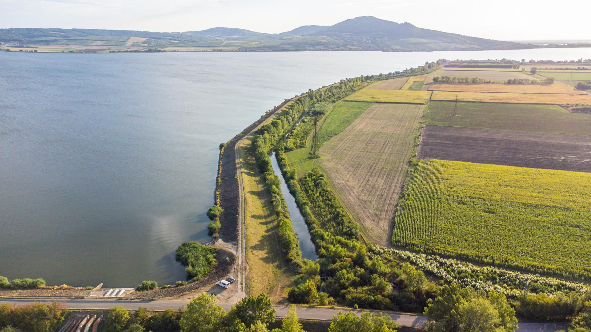 Šakvice