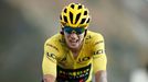 17. etapa Tour de France 2020: Primož Roglič.