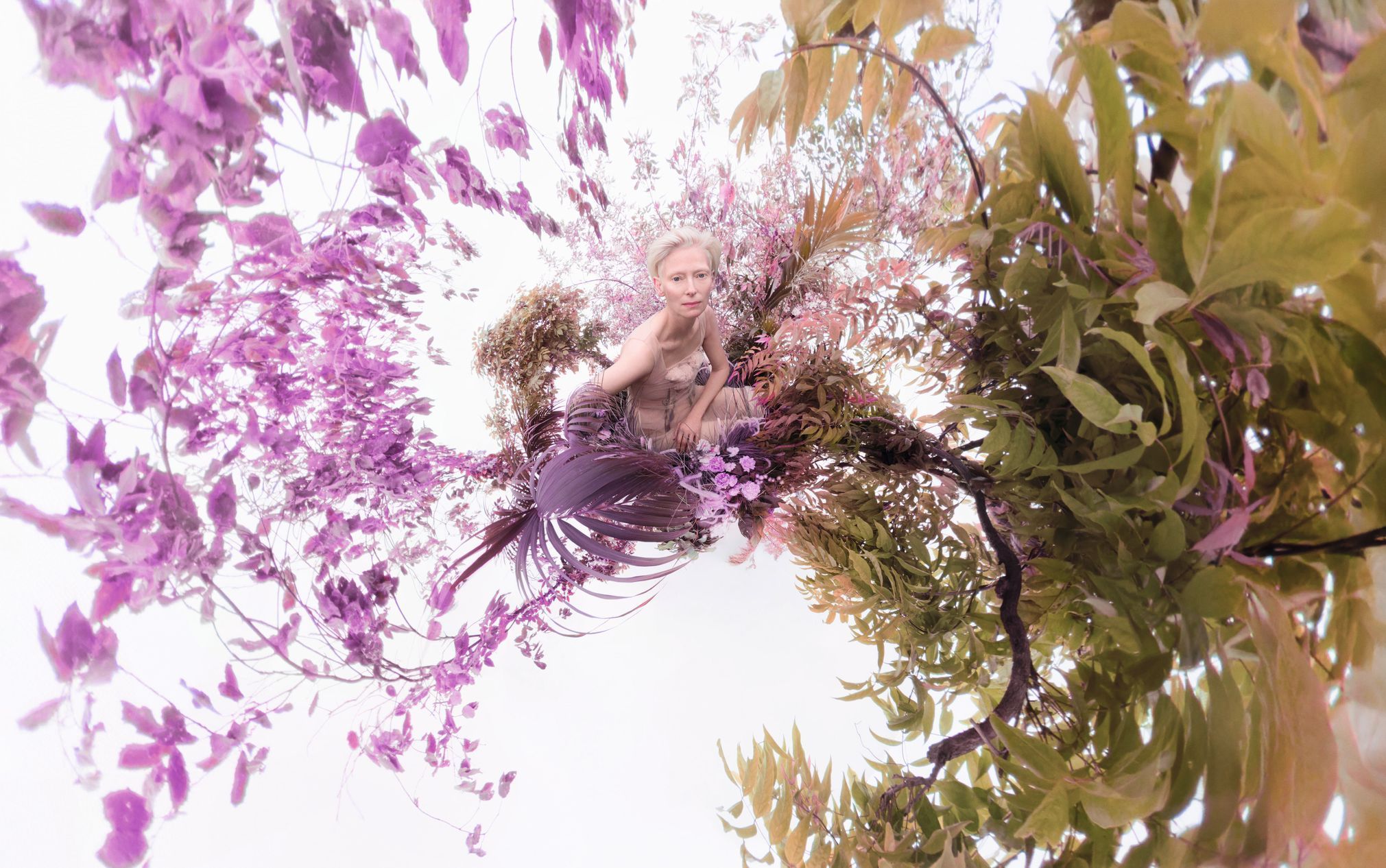 Pirelli kalendář 2026