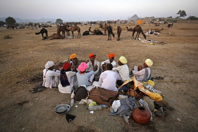 Camel herders sit in a group at Pushkar Fair in the desert Indian state of Rajasthan November 23, 2012. Many international and domestic tourists throng to Pushkar to witness one of the most colourful and popular fairs in India. Thousands of animals, mainly camels, are brought to the fair to be sold and traded. REUTERS/Danish Siddiqui (INDIA - Tags: SOCIETY ANIMALS) Published: Lis. 23, 2012, 5:37 odp.