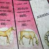 Skutečné osudy koní z Dostihů a sázek