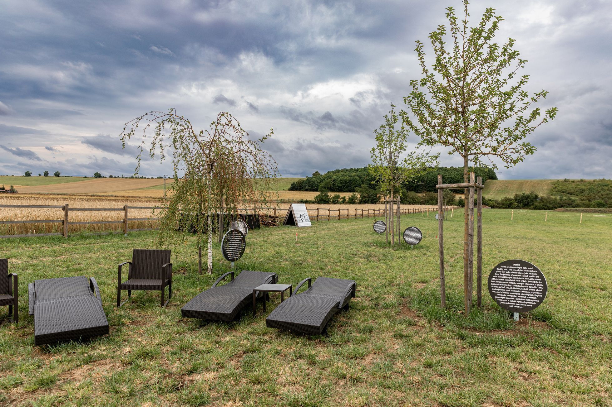 Levandulové údolí, údolí, levandule, Helena Neummanová, Chodouň