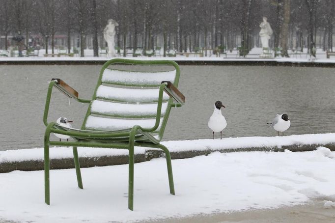 View of a snow-covered chair at the Tuileries garden in Paris March 12, 2013 as winter weather with snow and freezing temperatures returns to northern France. REUTERS/Gonzalo Fuentes (FRANCE - Tags: ENVIRONMENT TRANSPORT) Published: Bře. 12, 2013, 2:29 odp.