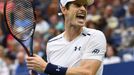 Andy Murray na US Open 2016